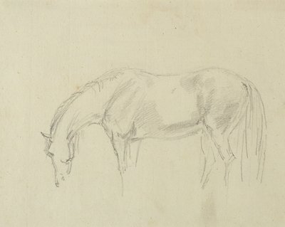 A Horse Grazing by Sawrey Gilpin